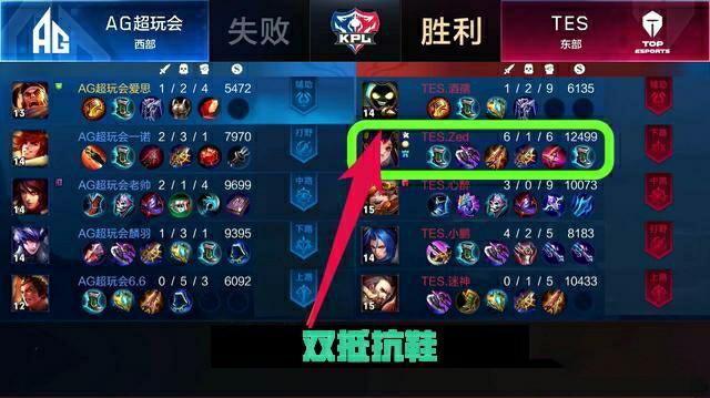 的身体结构 的身体结构