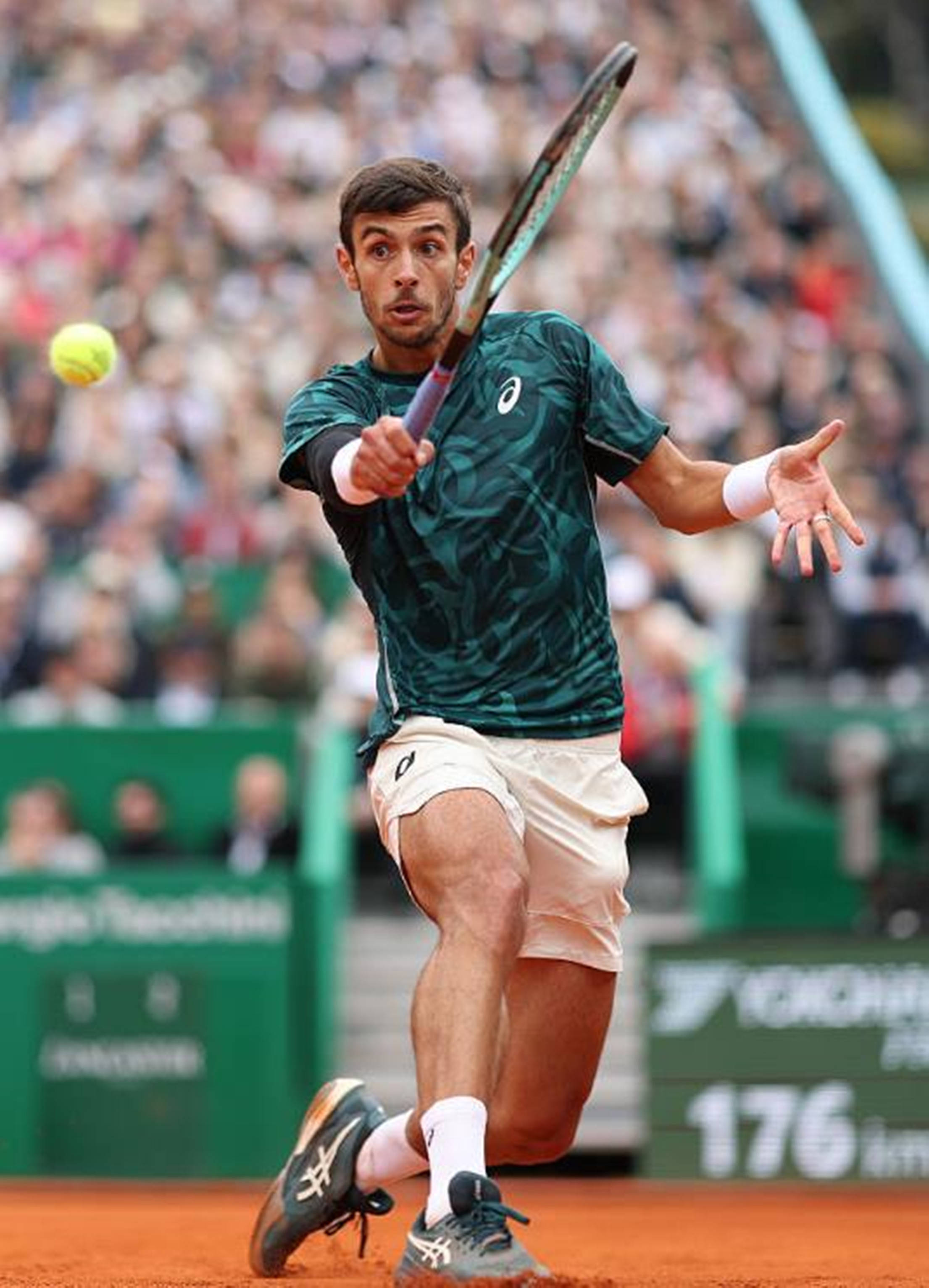 莫德里奇名 莫德里奇名