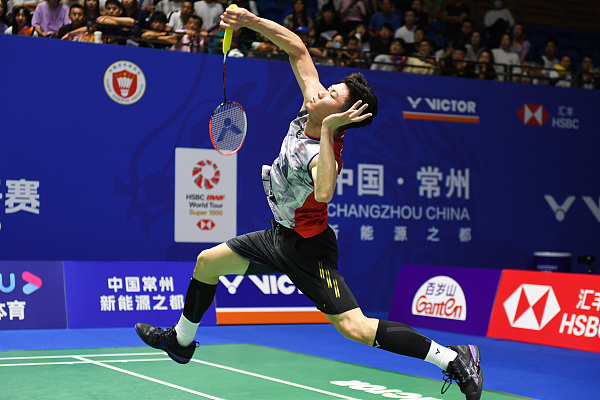 正是同类球 正是同类球